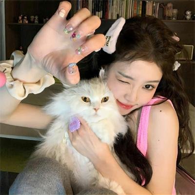 谎话连篇 浪花梦之阵